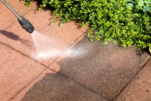 Deck Cleaning Services in Powell, TN